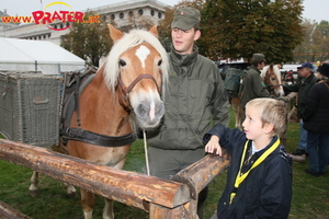 Bundesheer am Heldenplatz