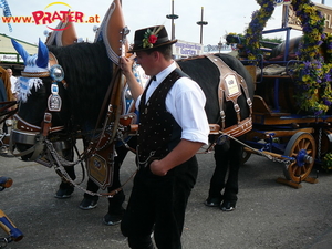 Oktoberfest München 09