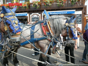 Oktoberfest München 09