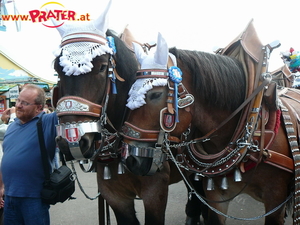 Oktoberfest München 09