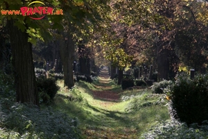 Zentralfriedhof