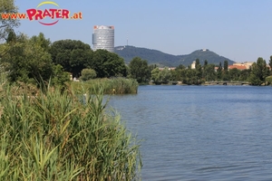 Alte Donau