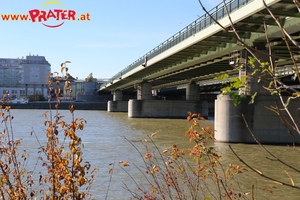 Herbstzeit an der Donau
