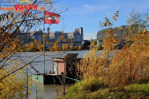 Herbstzeit an der Donau