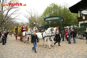 Blumencorso 2016