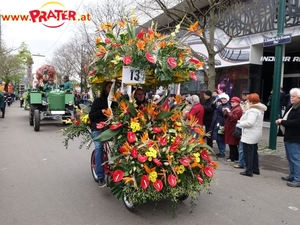 Blumencorso 2016