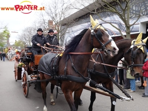 Blumencorso 2016