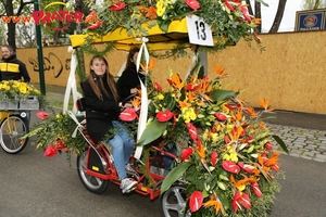 Blumencorso 2016