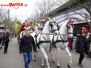 Blumencorso 2016