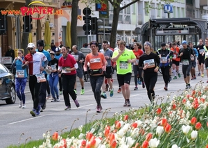 Vienna City Marathon 2017