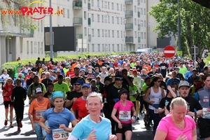 Vienna City Marathon 2017