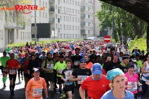 Vienna City Marathon 2017