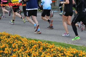 Vienna City Marathon 2017