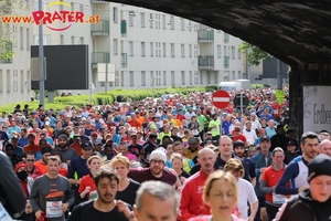 Vienna City Marathon 2017