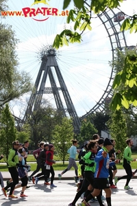 Vienna City Marathon 2017