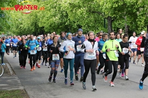 Vienna City Marathon 2017