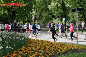 Vienna City Marathon 2017