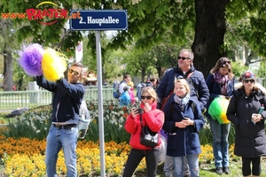 Vienna City Marathon 2017