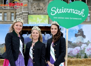 Steiermark in Wien