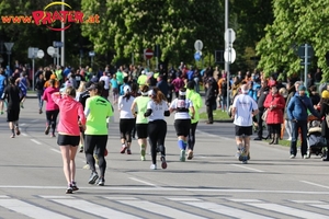 Vienna City Marathon 2017