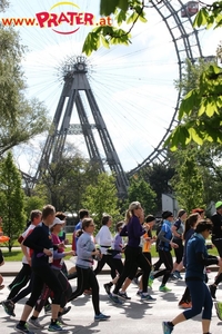 Vienna City Marathon 2017