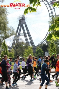 Vienna City Marathon 2017