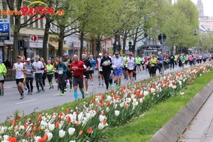 Vienna City Marathon 2017