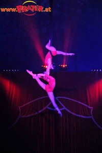 Wintercircus