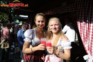 Steiermark-Wiesn