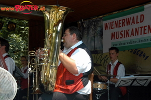 Wienerwald Musikanten