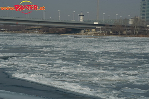 Donau Eis